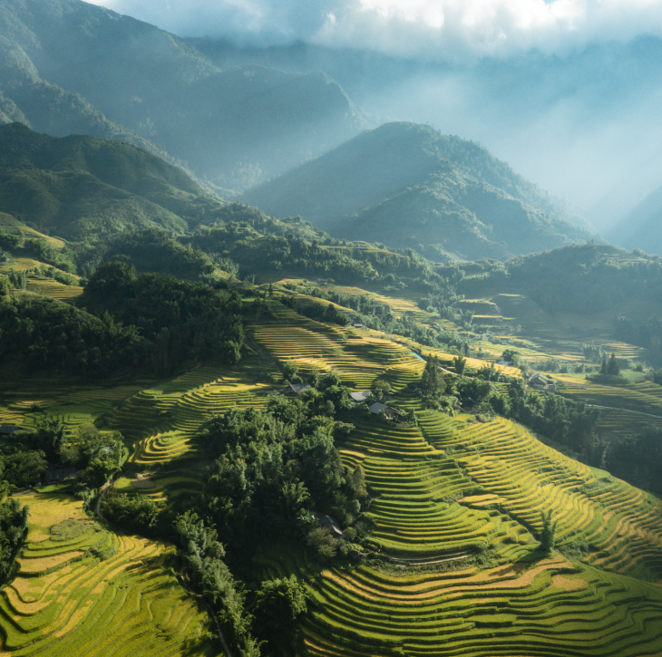 Sapa
